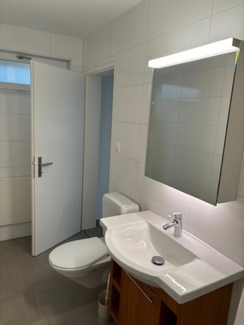 Furnished 1-room apartment for weekly renters (7)