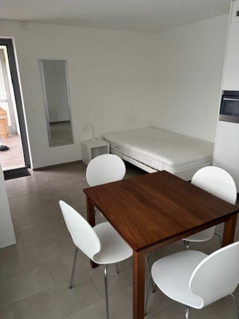 Furnished 1-room apartment for weekly renters (5)