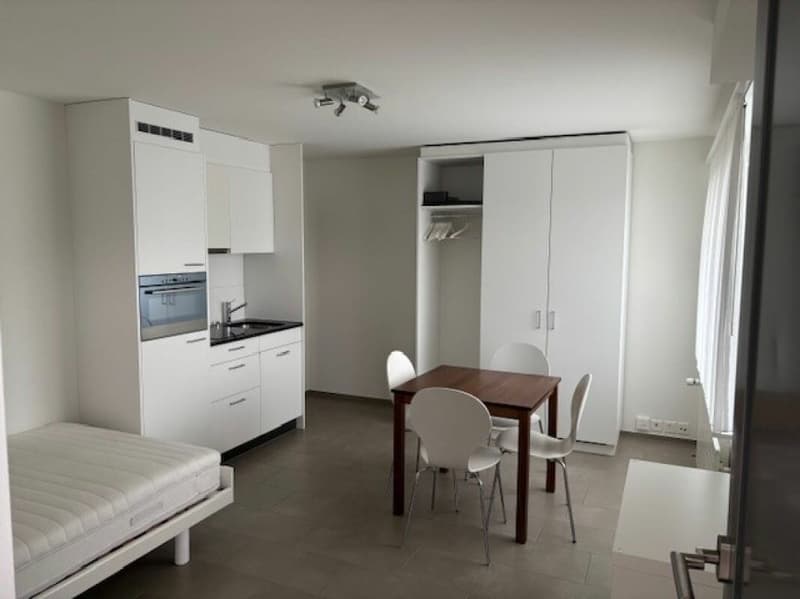 Furnished 1-room apartment for weekly renters (1)
