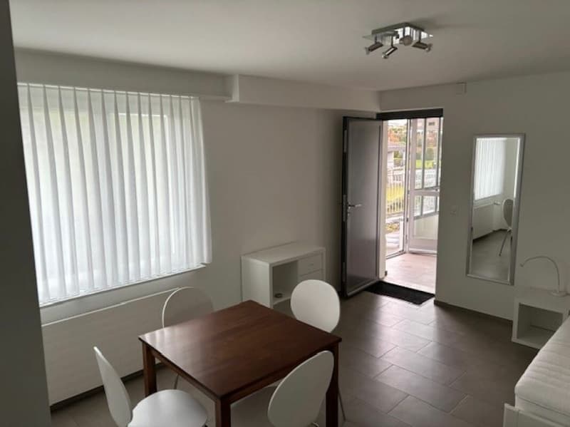 Furnished 1-room apartment for weekly renters (4)