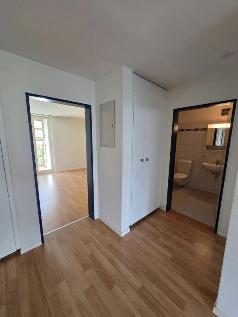 Appartement 3,5 pièces avec espace de jardin (9)