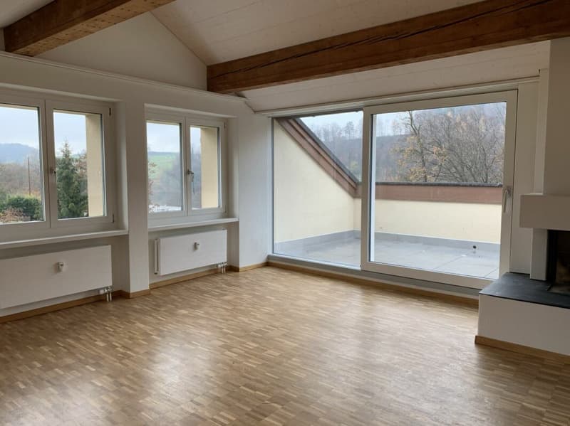 Wohnen mit Cheminée