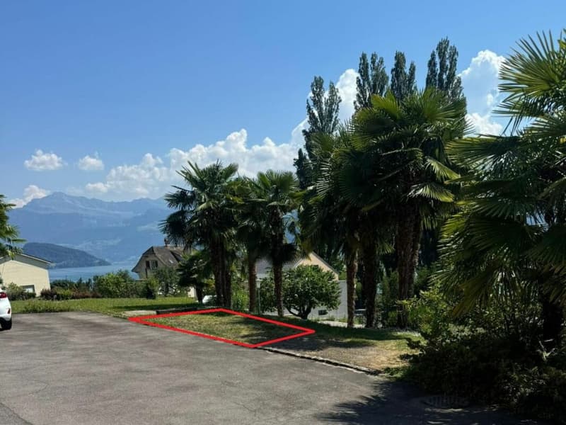 External parking lot (1)