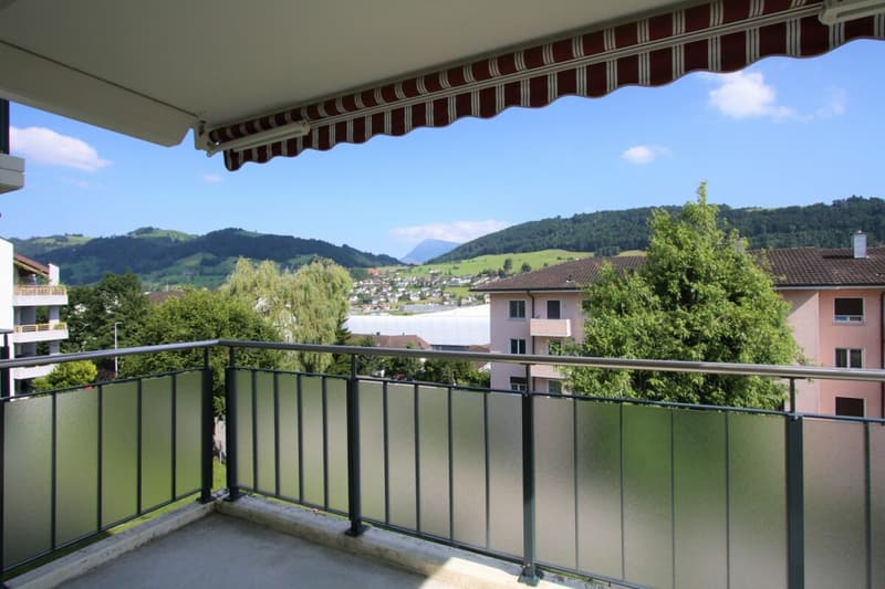 4-Bedroom Apartment in Buchrain (2)