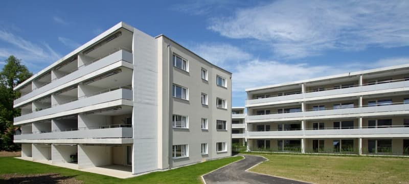 Vue sur le vert (1)