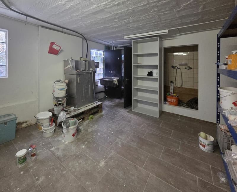 Gewerberaum im Zentrum von Meggen (7)