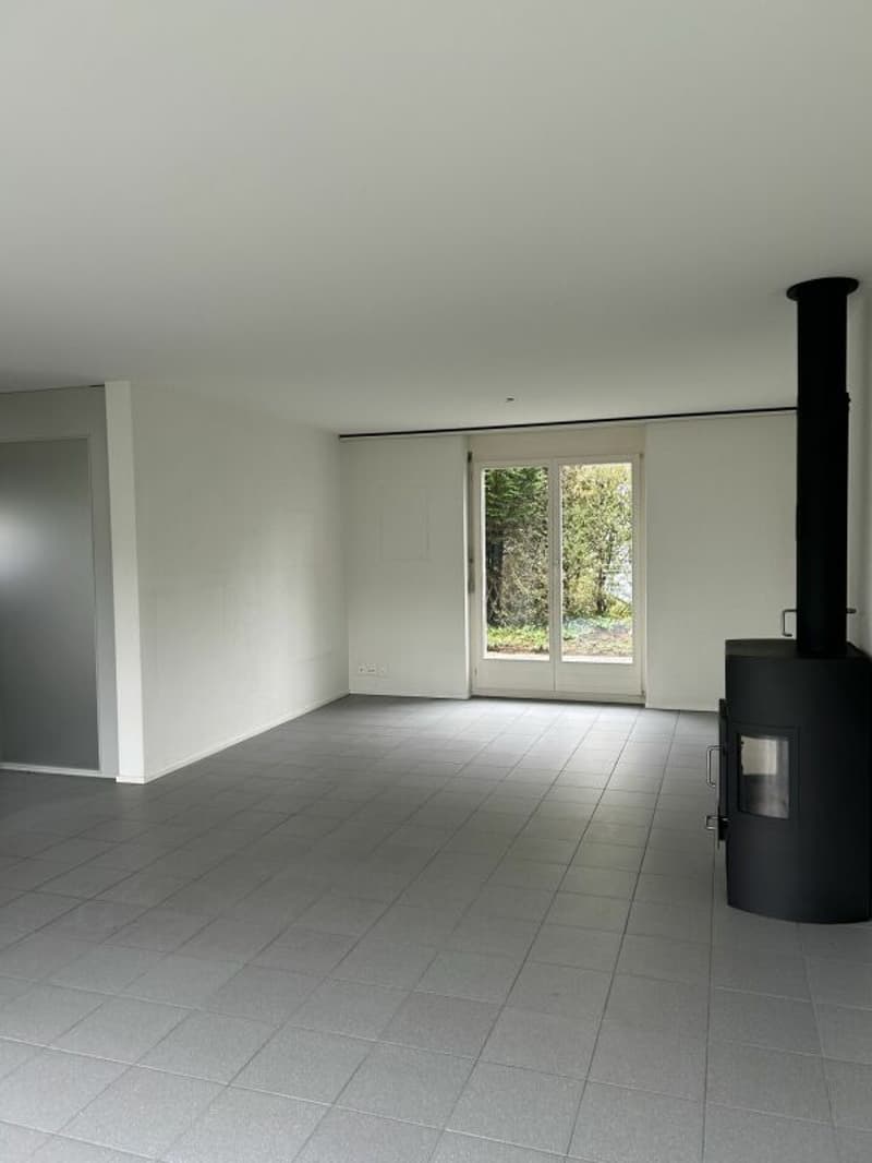 Einfamilienhaus mitten in Immensee (2)