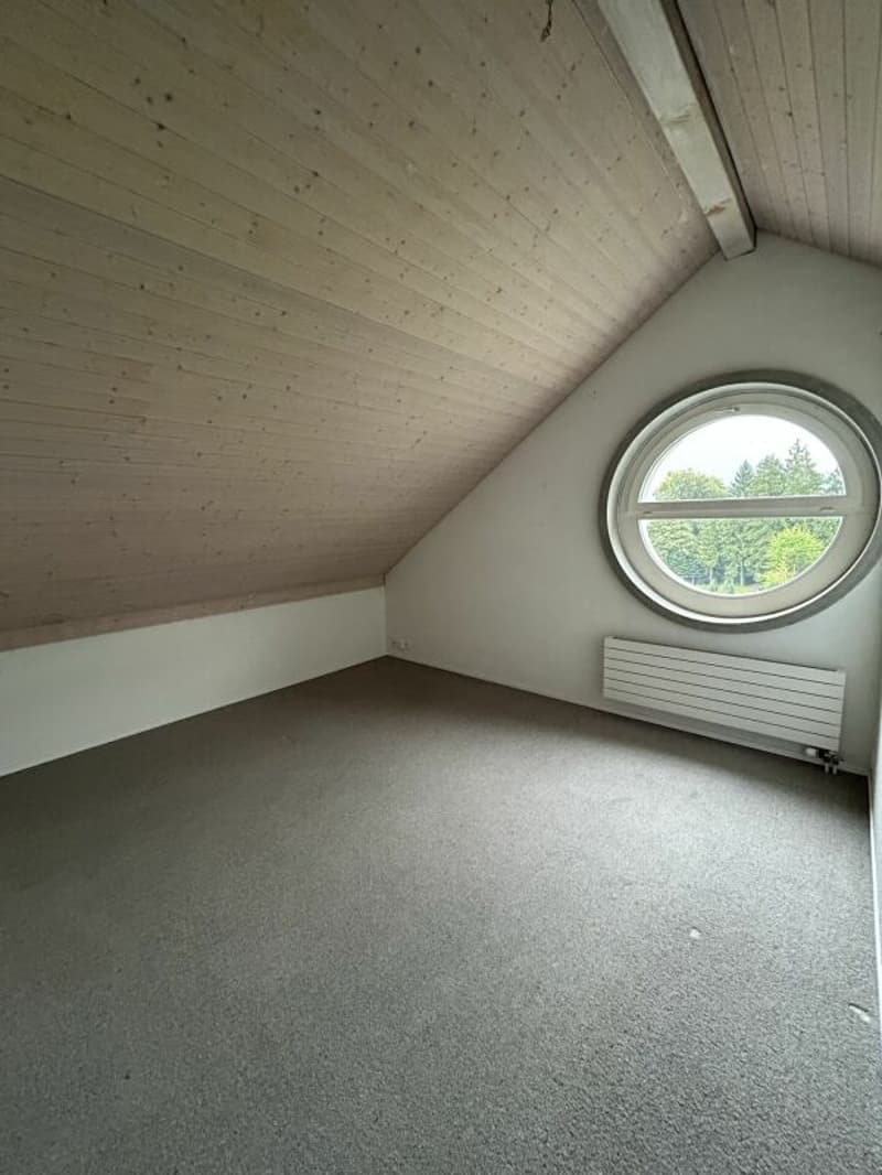 Einfamilienhaus mitten in Immensee (3)