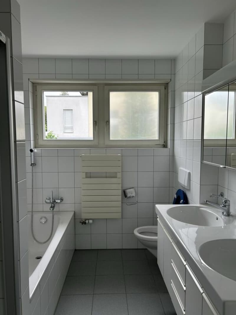 Einfamilienhaus mitten in Immensee (9)