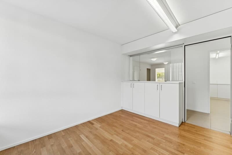 Büroräume im Zentrum (6)