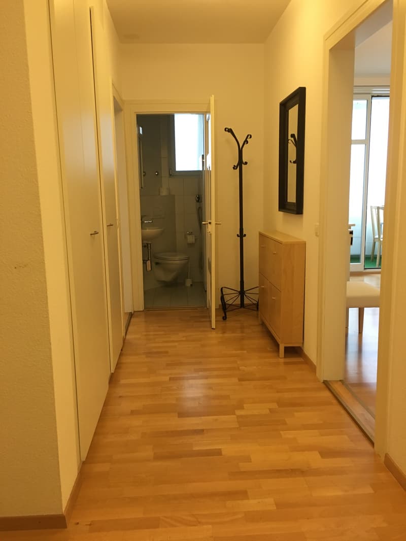 Light modern apartment with own washer/dryer (9)