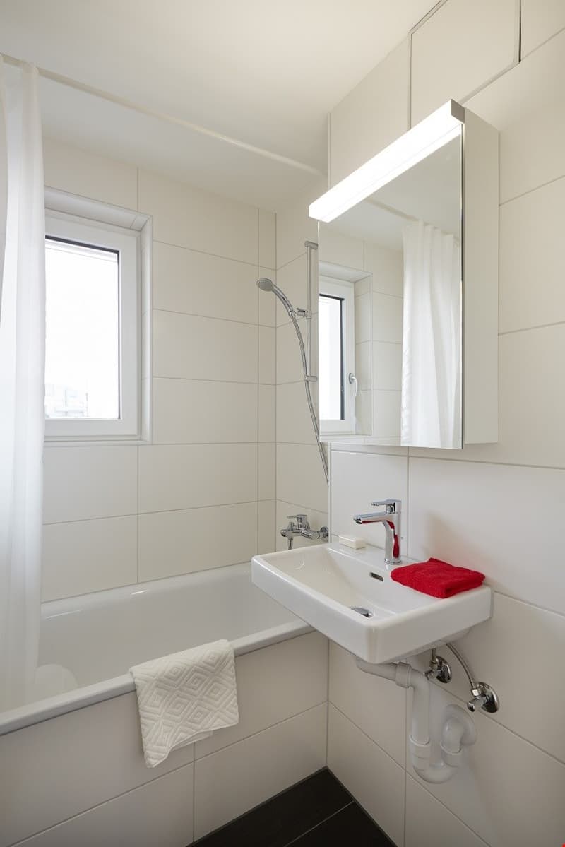 Beautiful 2 room across from Schützenmatt Park (7)