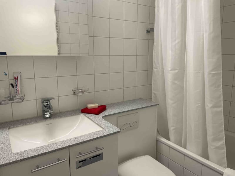 SCH303A bathroom