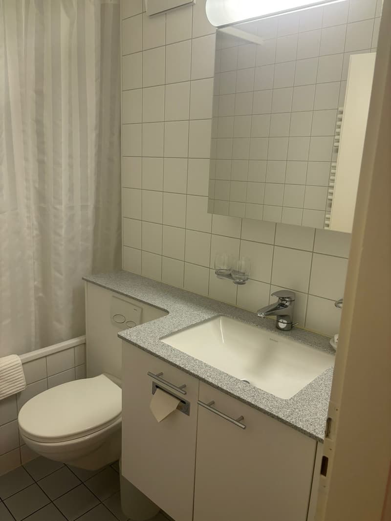 SCH301C bathroom