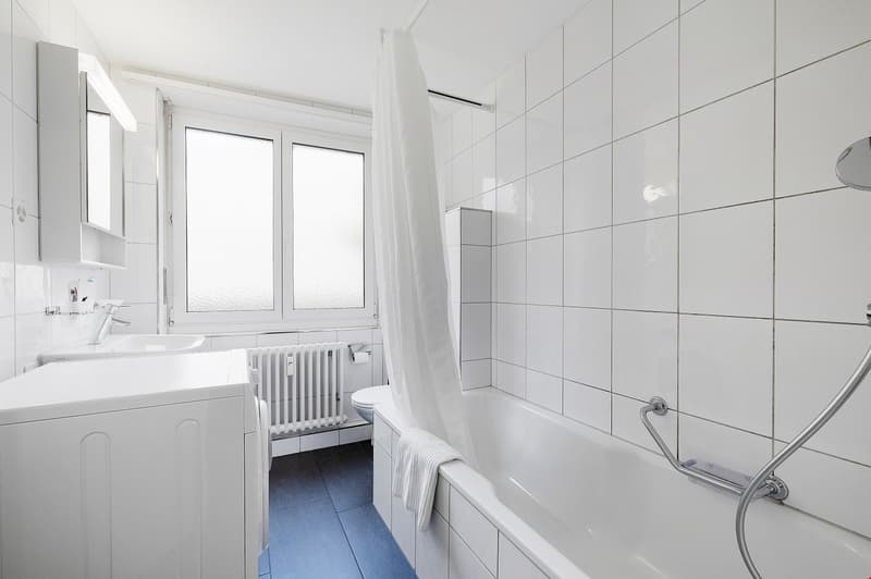 Quiet two bedroom apartment near Schüztenmatt Park (6)