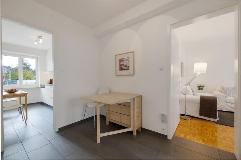 Quiet two bedroom apartment near Schüztenmatt Park (7)