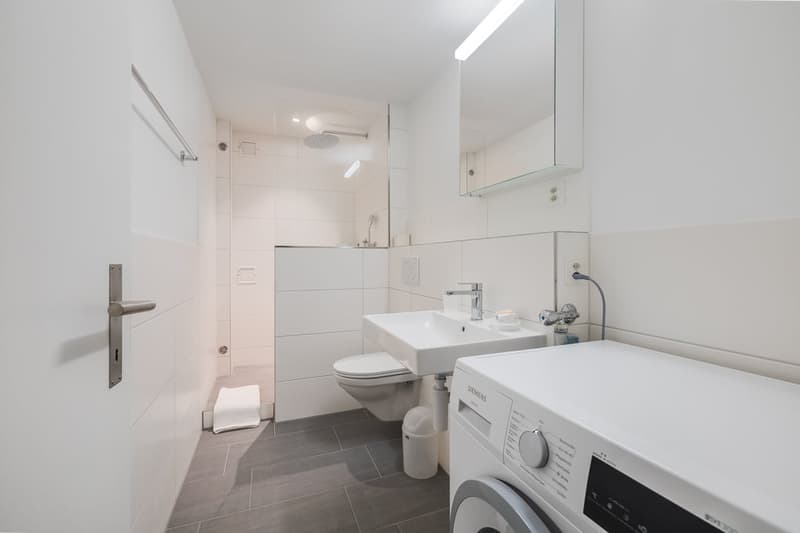 THA80C bathroom