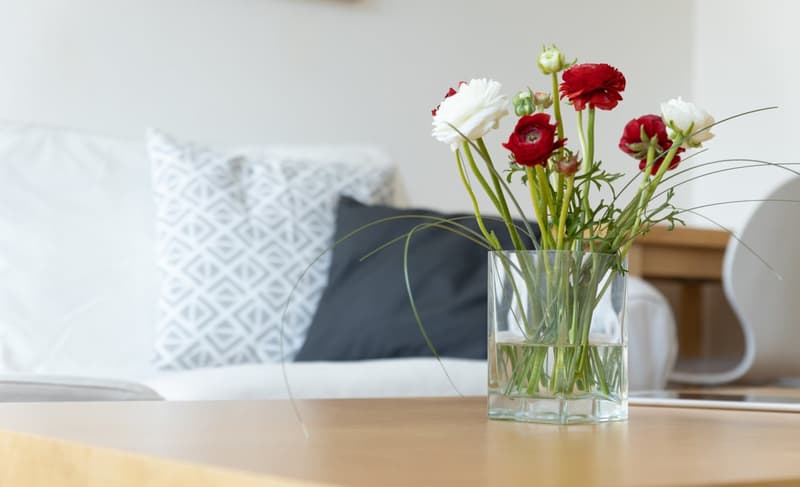 Two room apartment in St. Johann (9)