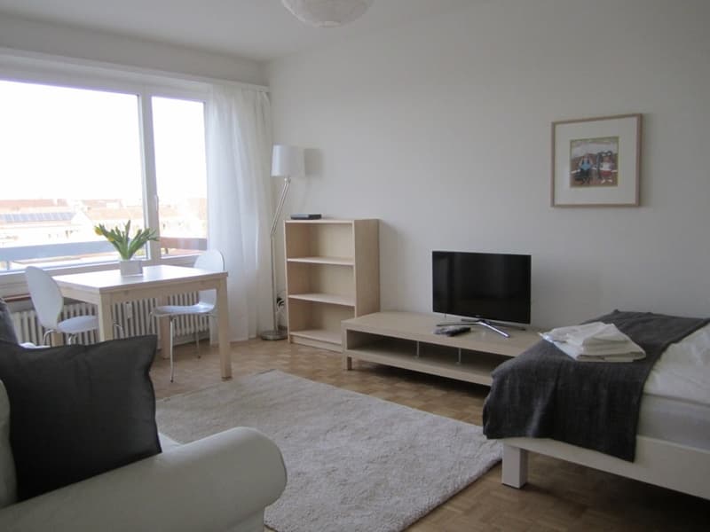 Joli appartement d'une pièce près de Spalentor (2)