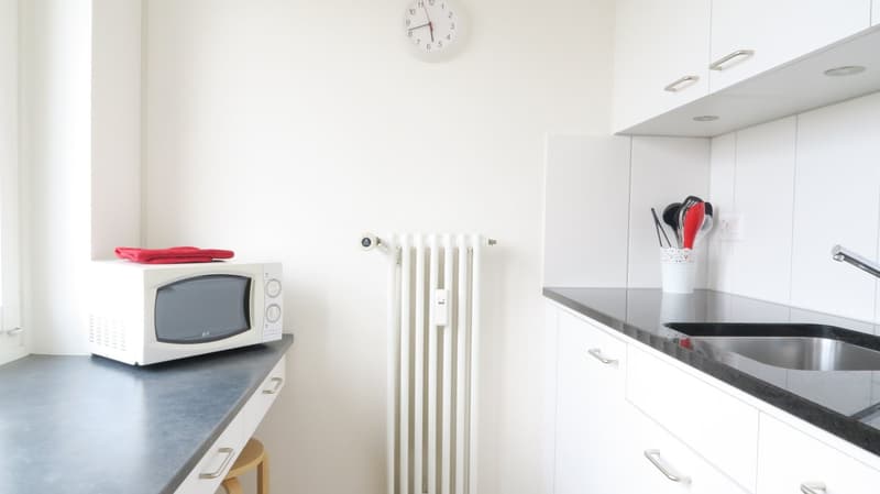 Joli appartement d'une pièce près de Spalentor (6)