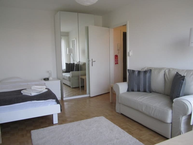 Joli appartement d'une pièce près de Spalentor (3)