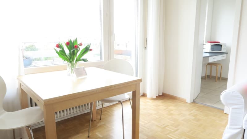 Joli appartement d'une pièce près de Spalentor (4)