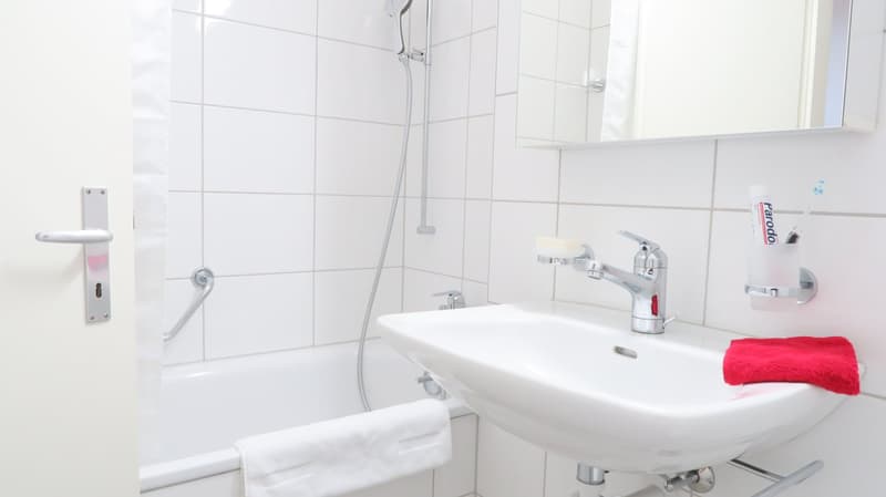 Joli appartement d'une pièce près de Spalentor (8)