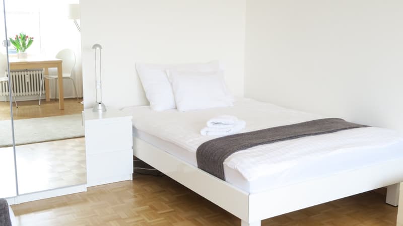 Joli appartement d'une pièce près de Spalentor (7)