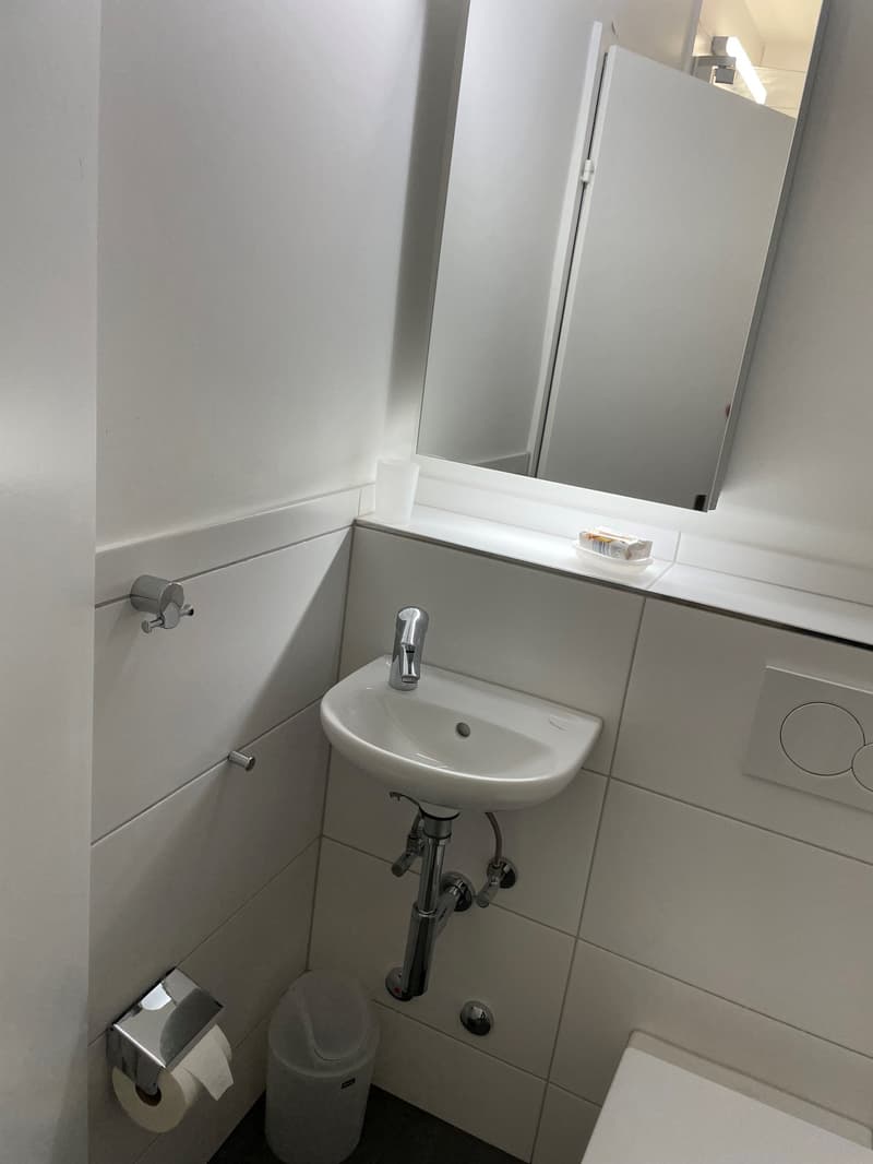 Appartamento al piano superiore con due camere da letto vicino al parco Schützenmatt (9)