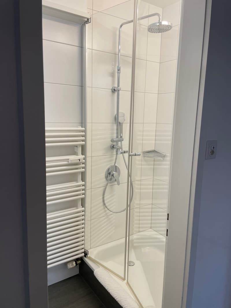 Appartamento al piano superiore con due camere da letto vicino al parco Schützenmatt (8)