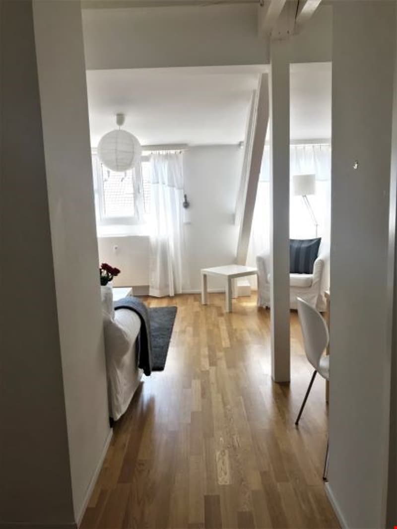 Appartement de deux pièces rénové et très cosy, avec installations de lavage personnelles (4)