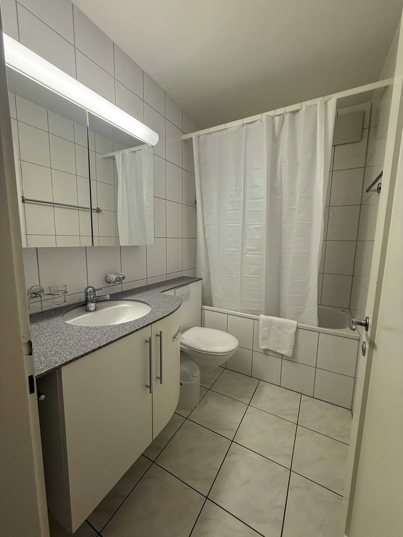 Charming 2-Room Furnished Apartment Near Basel University (8)