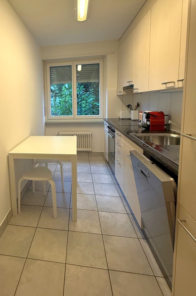 Charming 2-Room Furnished Apartment Near Basel University (7)