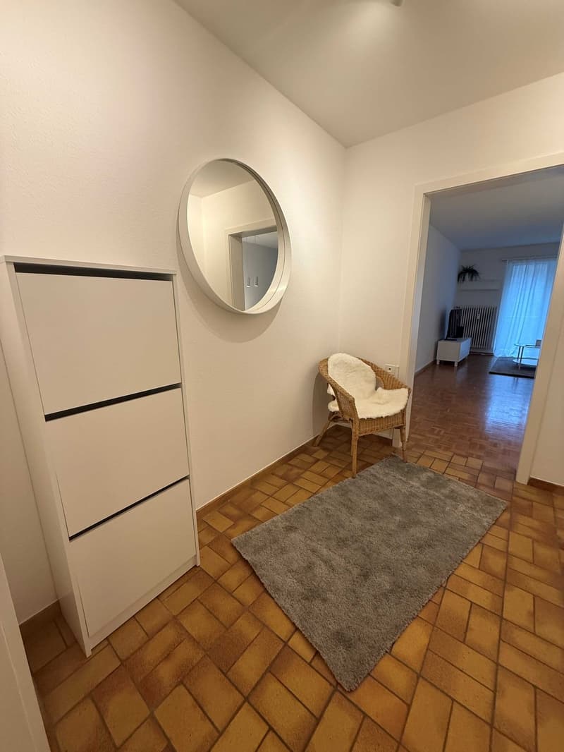 Charming 2-Room Furnished Apartment Near Basel University (4)