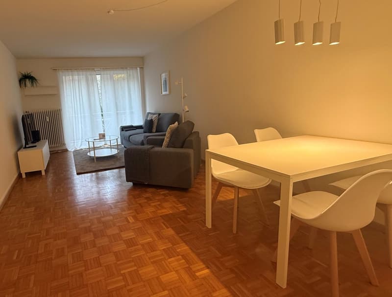 Charming 2-Room Furnished Apartment Near Basel University (2)