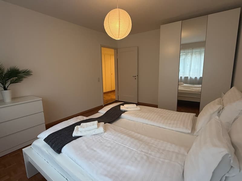 Charming 2-Room Furnished Apartment Near Basel University (6)