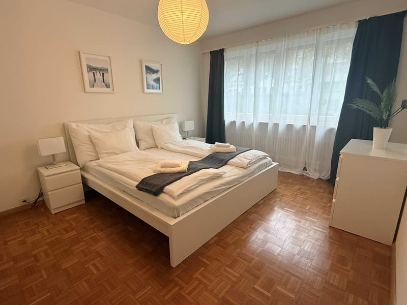 Charming 2-Room Furnished Apartment Near Basel University (5)
