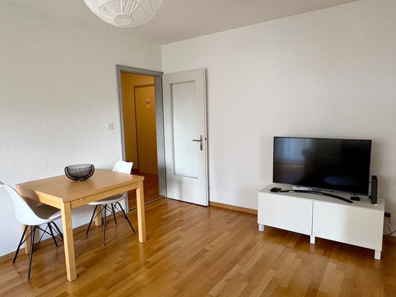 Lovely 2 room apartment with balcony (3)