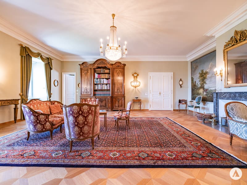Live like royalty: Country house villa with building plot (10)