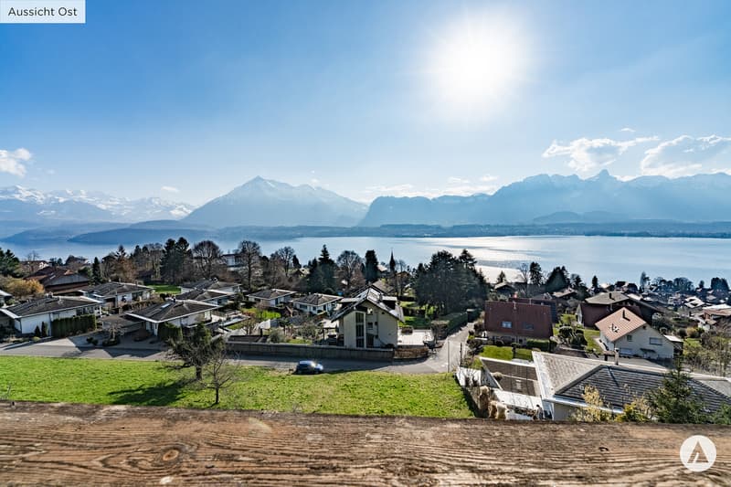 Land plot with chalet: potential for new living ideas (3)