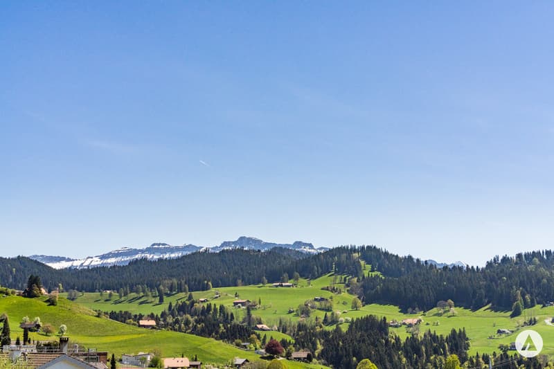 Between city and country on the sunny slope (2)