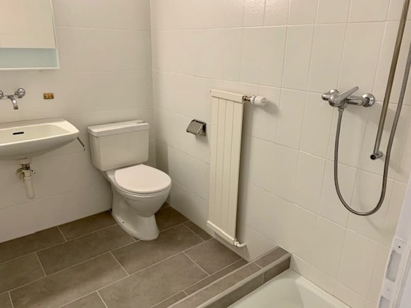 Badzimmer mit Spiegelschrank neu