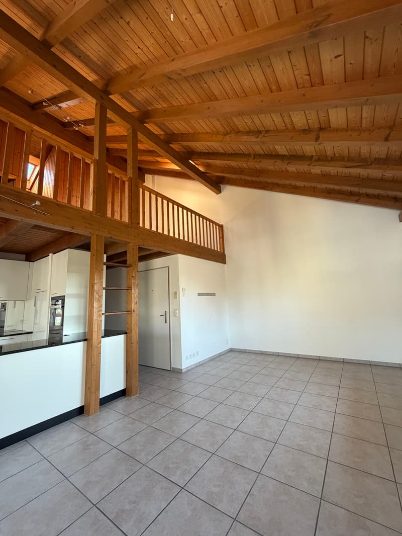 Appartement en galerie lumineux et spacieux de 4,5 pièces avec balcon et serre (4)