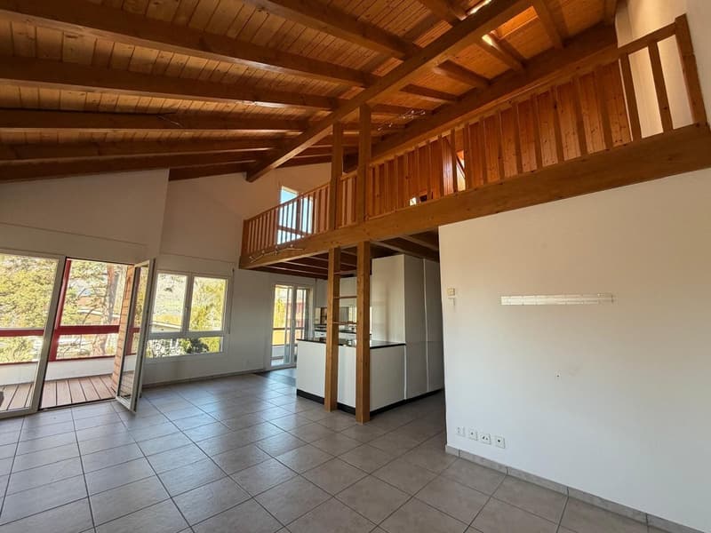 Appartement en galerie lumineux et spacieux de 4,5 pièces avec balcon et serre (2)