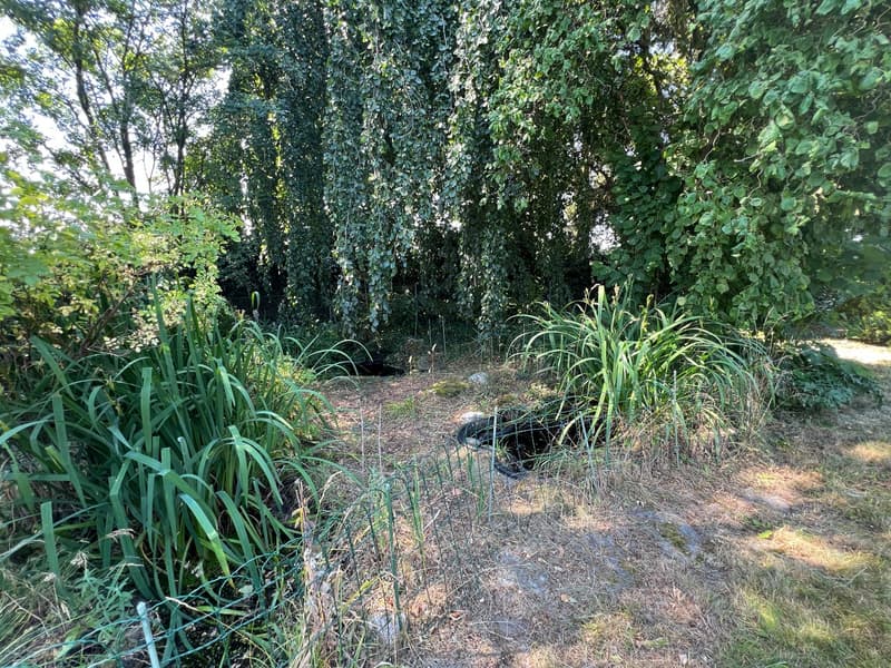 Casa unifamiliare 5.5 locali con terreno di 2000 m² - una rarità a Täuffelen (24)