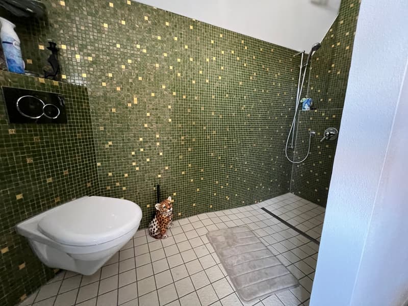 Casa unifamiliare 5.5 locali con terreno di 2000 m² - una rarità a Täuffelen (10)
