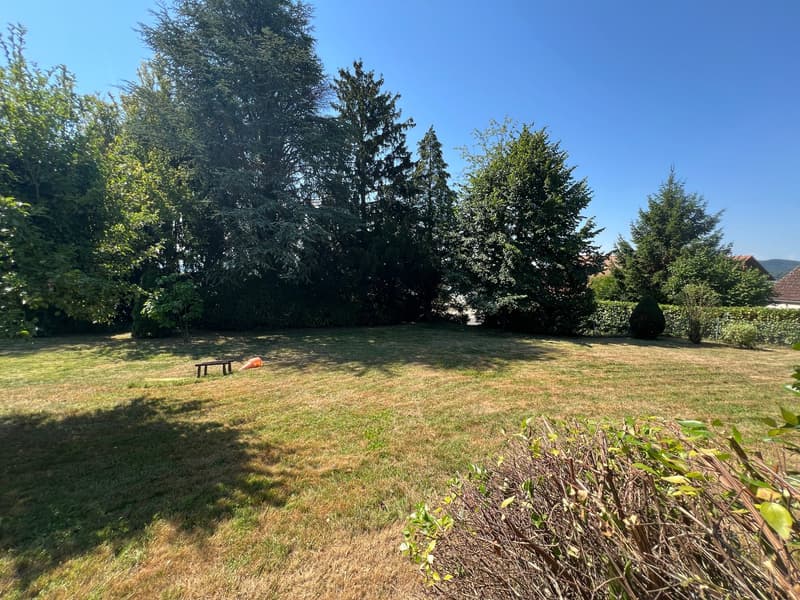 Casa unifamiliare 5.5 locali con terreno di 2000 m² - una rarità a Täuffelen (23)