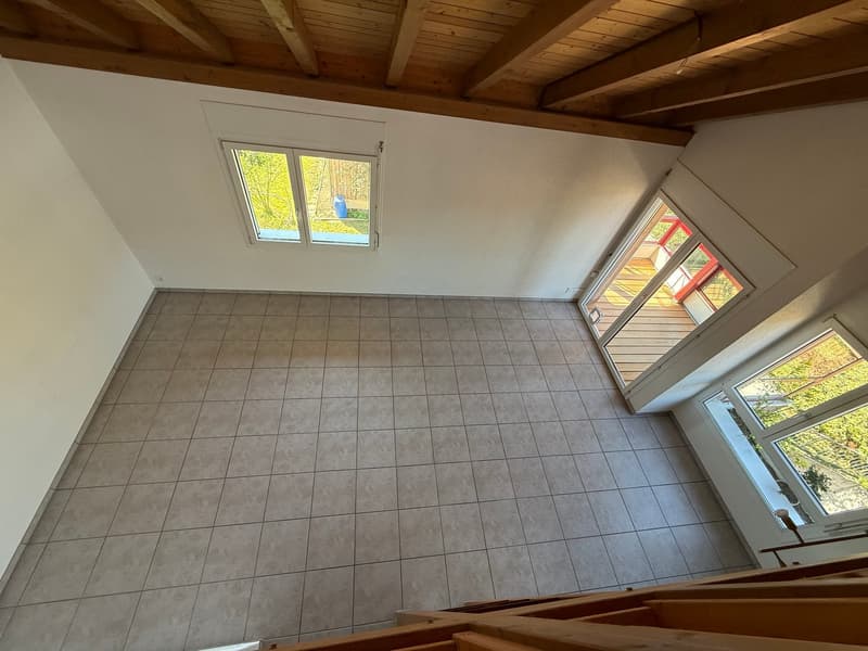 Appartamento a galleria luminoso e spazioso 4.5 locali con balcone e serra (5)