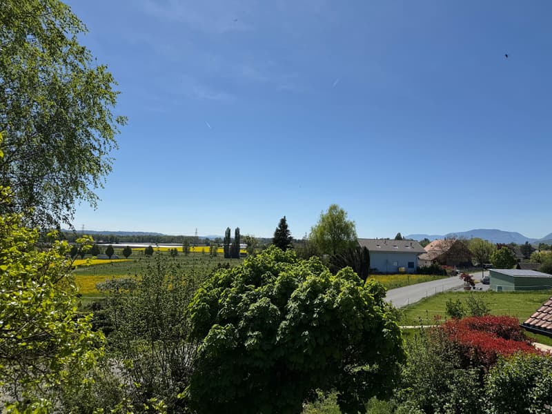 Landschaft mit Feld und Himmel