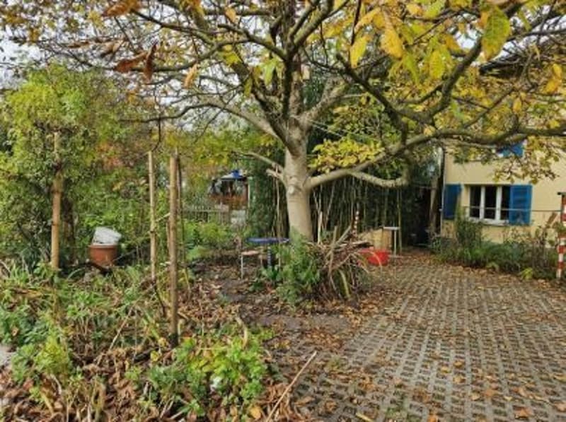 Garten mit Parkplatz